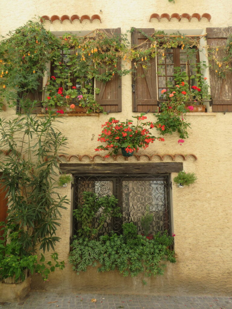 Blumen vor den Fenstern - das obere sind übrigens Passionsfrüchte mit zahllosen Früchten