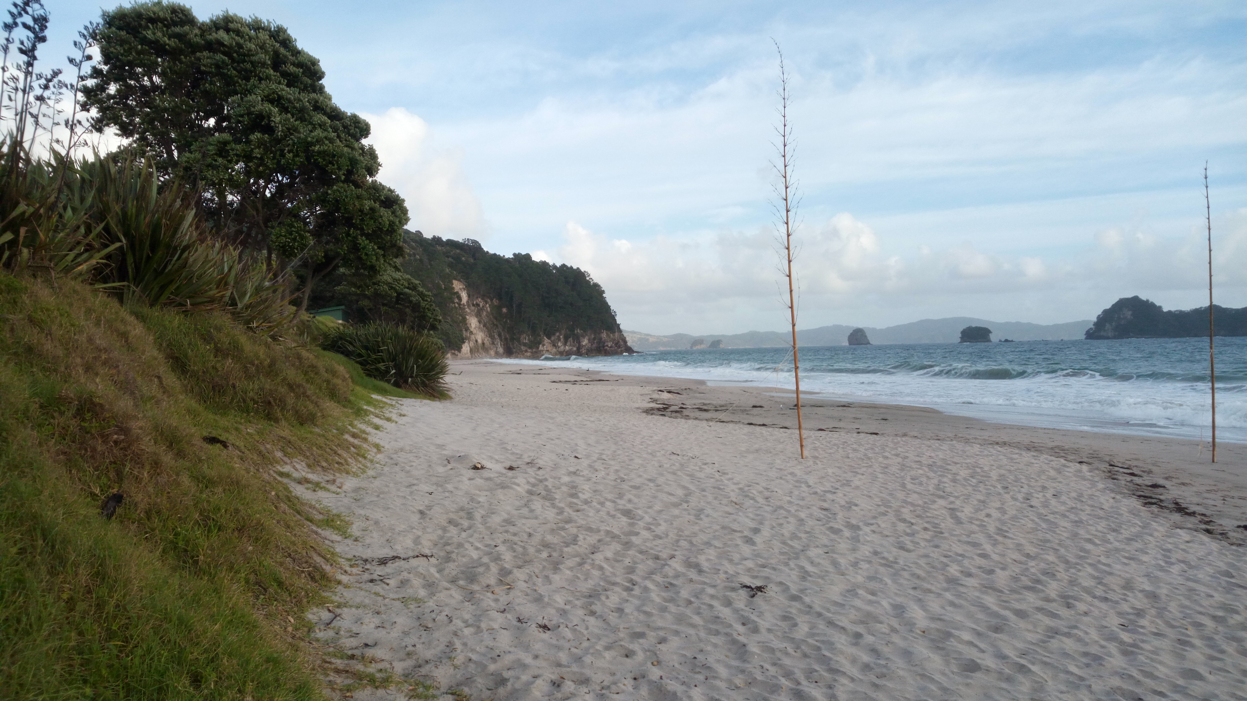 Hahei Beach am Morgen