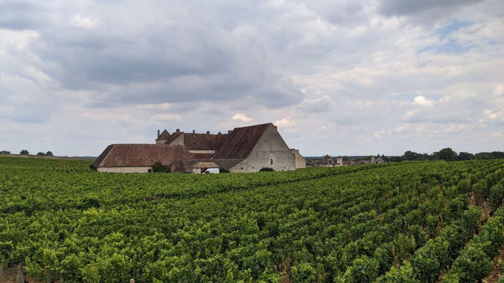 Das im Wein versunkene Château du Clos de Vougeot 
