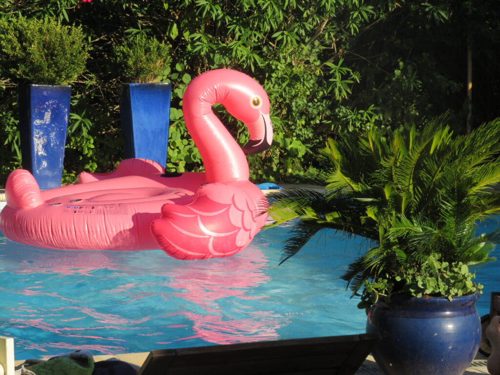 Joli Flamant Rose - ein rosa Flamingo