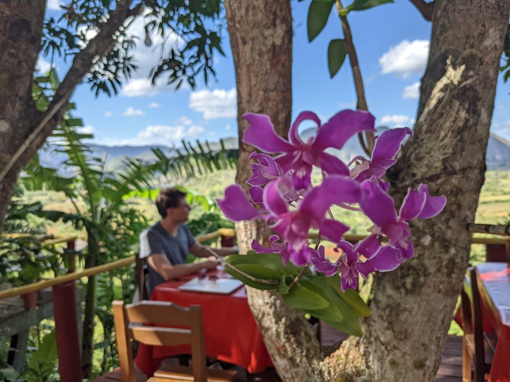 Eine Orchidee vor Frank und Vinalestal